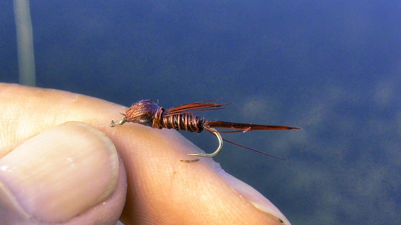 191120 milldam nymph