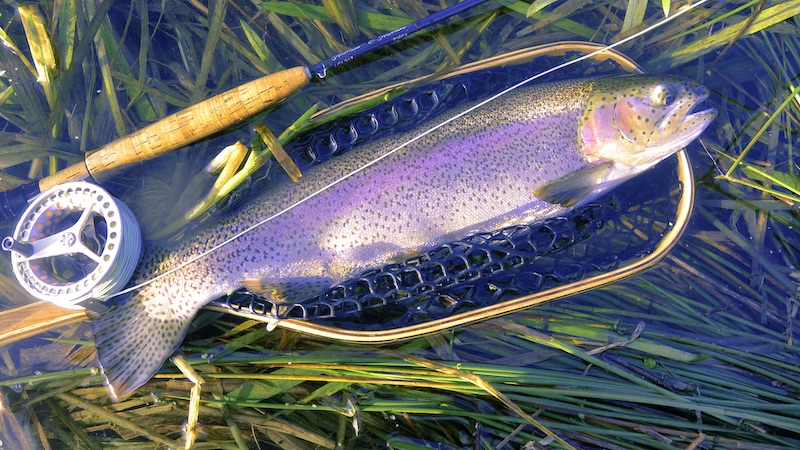 191120 milldam rainbow