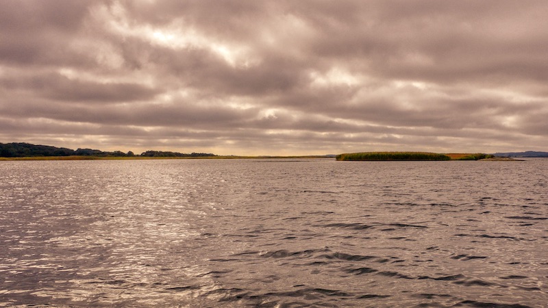 200921 Randers Fjord Stenrevet