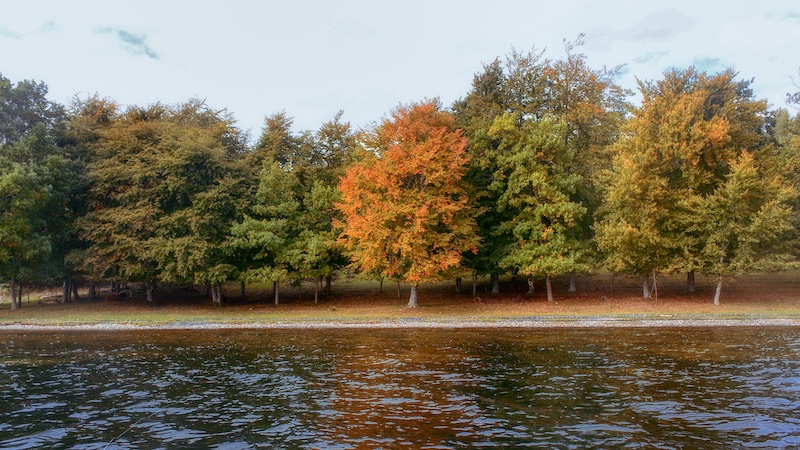 200929 mariager fjord autoum