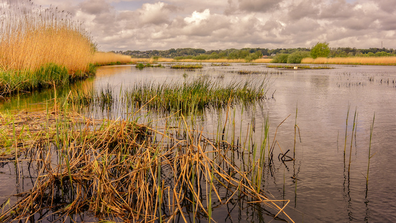 210521 gudenaa kirkerenden