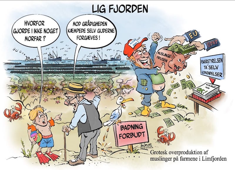 220128 mariager ligfjorden