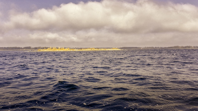 220320 mariager fjord maageisland