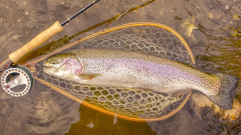 220531 milldam rainbow