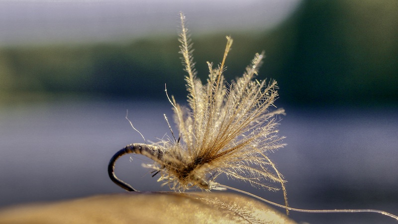 220624 deset cdc fly