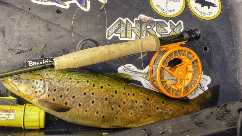 220714 rena trout