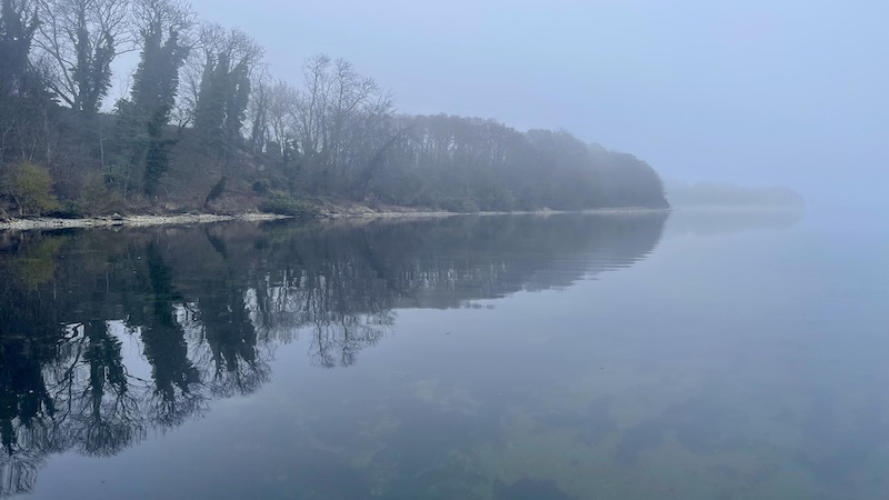 230319 mariager nord fog
