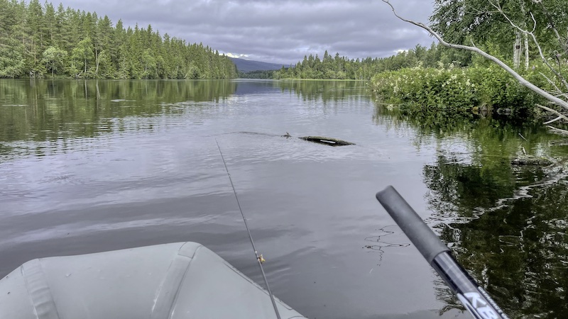 230727 rena henrik leth elven rolig