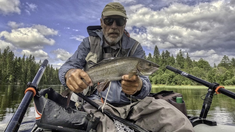 230727 rena henrik leth stalling