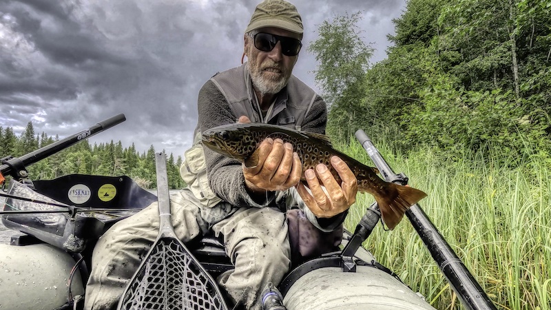 Henrik Leth 230802 henrik leth trout dark