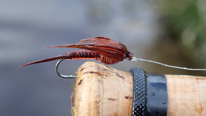 Nymfe 240809 milldam nymfe