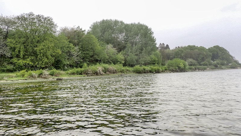 240504 mariager kajak skov