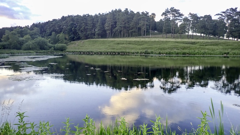 240619 milldam aften