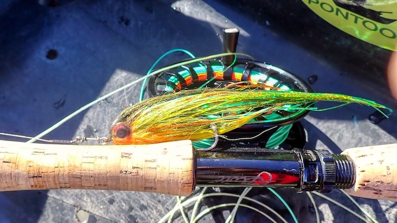 240918 tange streamer