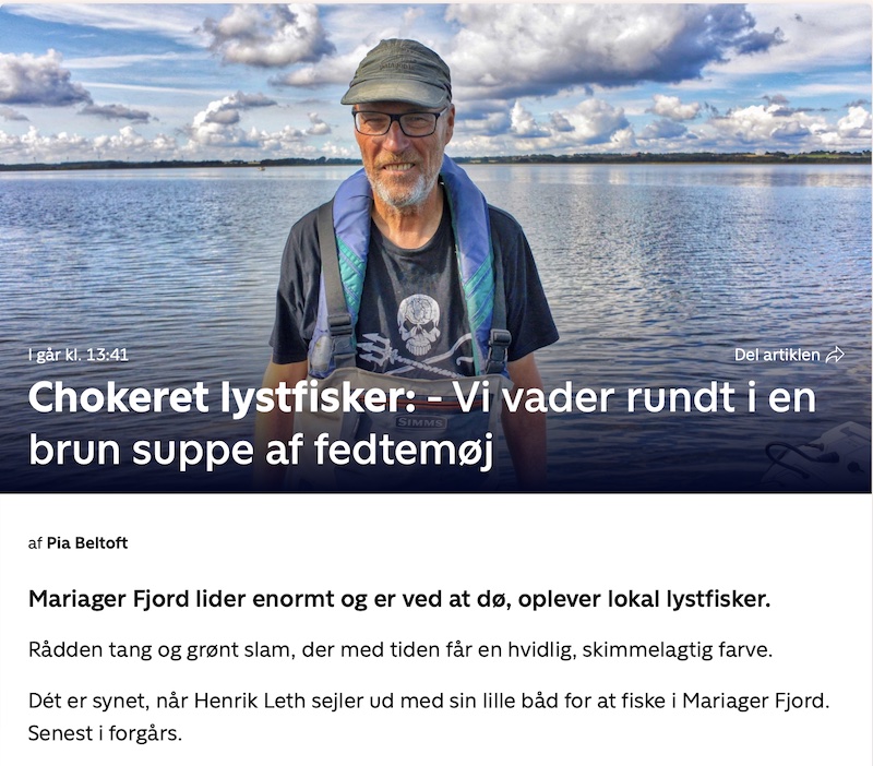 241005 fjellerup artikel Henrik Leth 