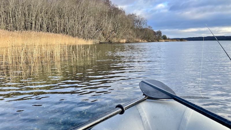 Mariager Fjord ved Bramslev 241223 bramslev siv skov