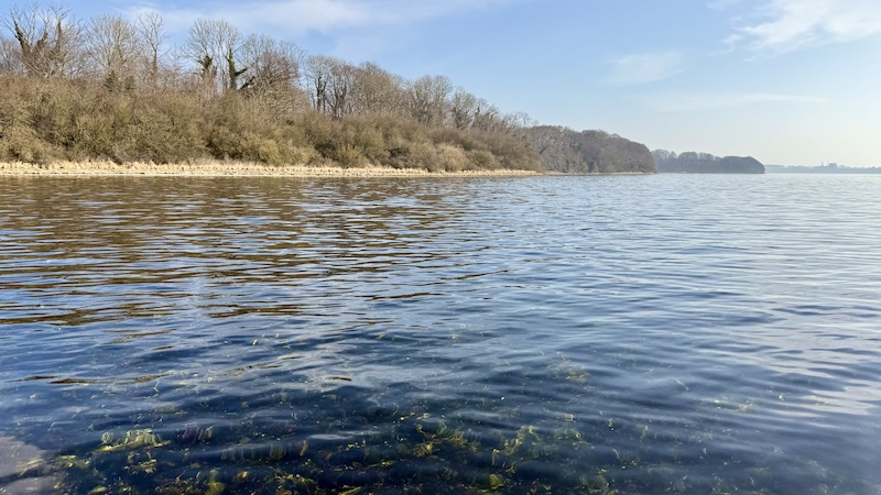 250307 mariager stinesminde fiskepladsen