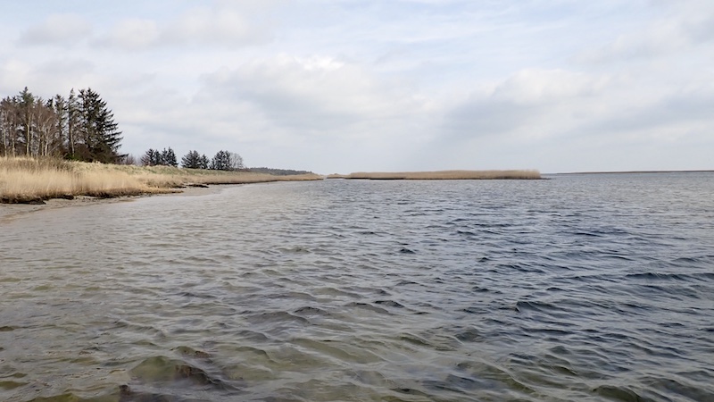 Randers Fjord ved Udbyhøj Nord 250327 udbyhoj diger