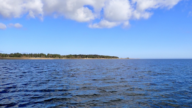250331 randers fjord fjordmunding