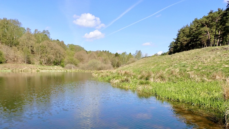 Forår ved søen 250426 mill spring lake