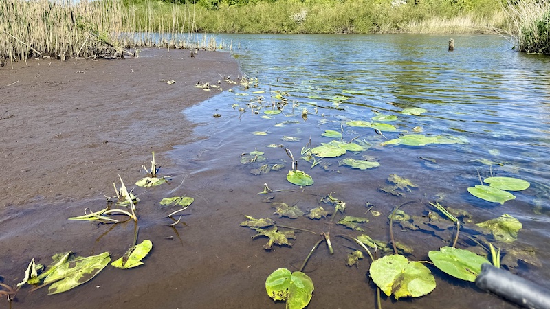 Lav vandstand i Gudenåen 250520 gudenaaen low water