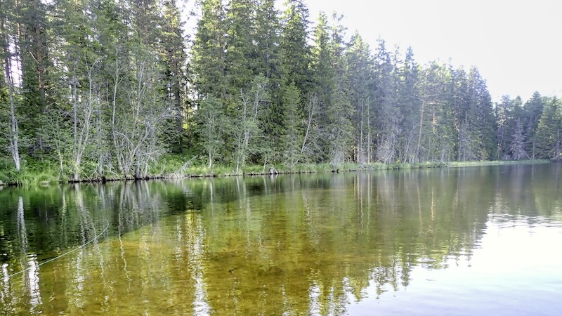 250629 rena baagvand