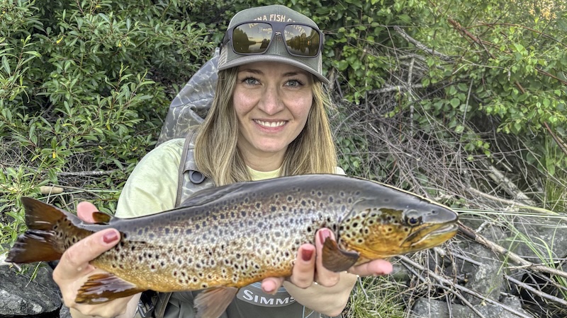 Sarah Dober 250701 rena sarah trout