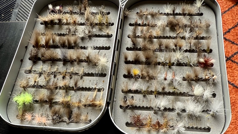 Mine fluer lagt til tørring 250706 rena flybox drying