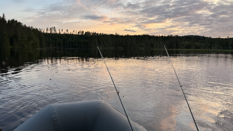 250707 rena aften holmen