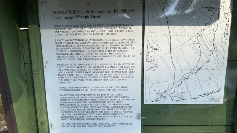 250724 rene smsll creek hankeveien