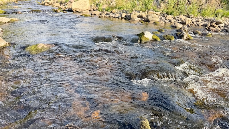 250724 rene smsll creek stream