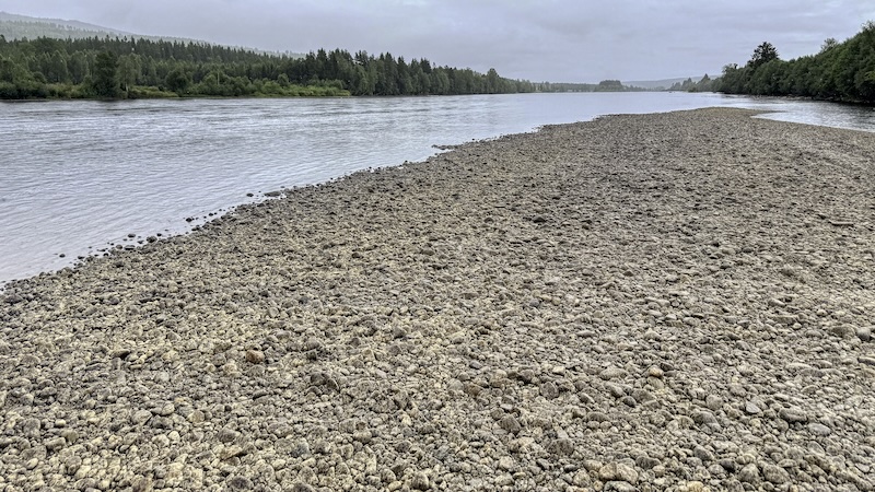 250727 glomma lavvand