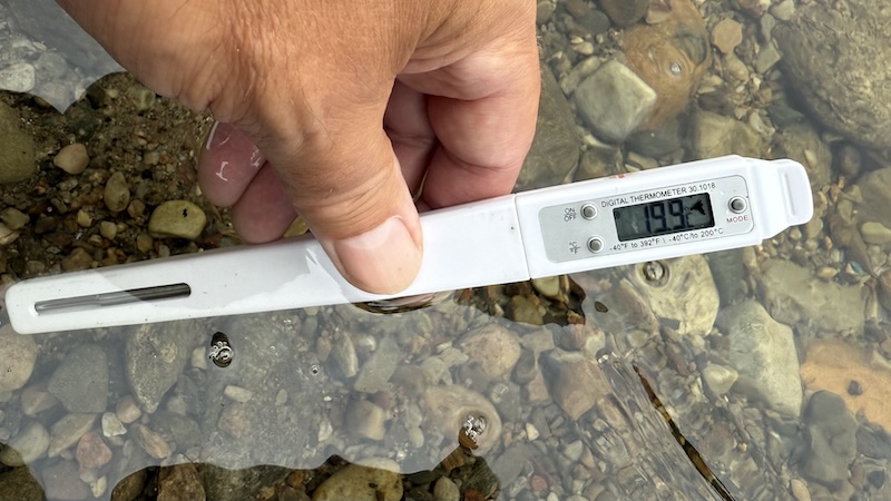 250727 glomma vandtemp