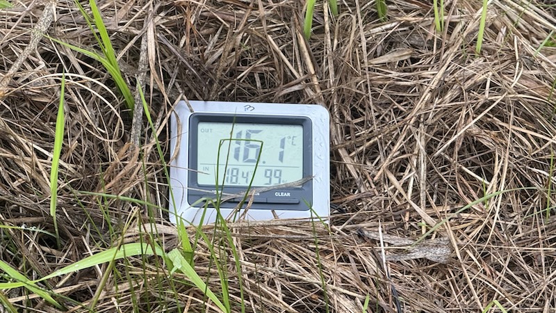 Vandtemperatur i Glomma 250731 glomma temptur