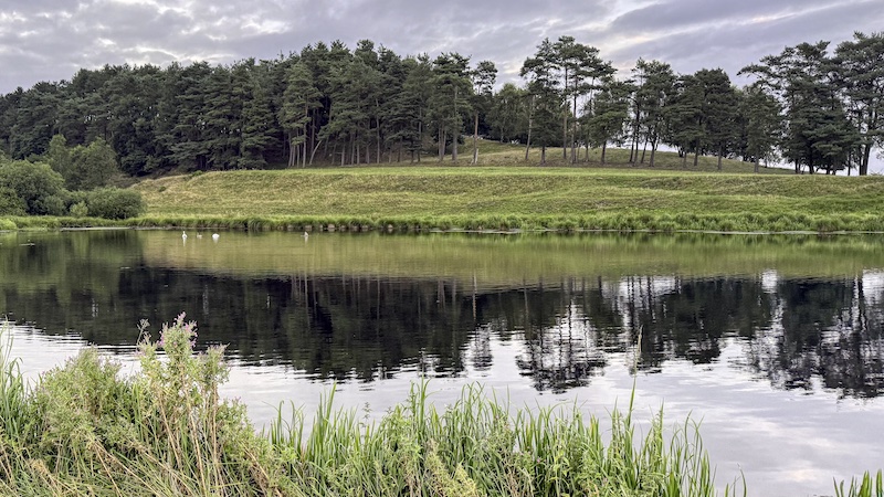 250812 milldam aften