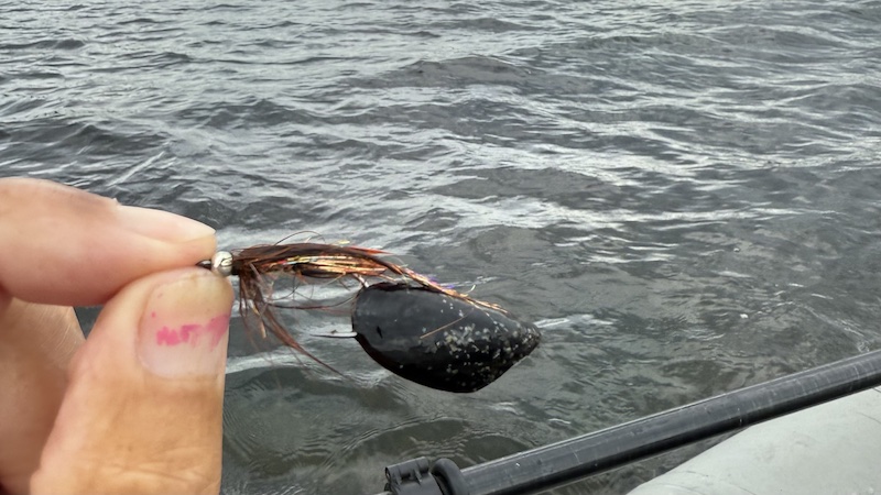 250827 mariager musling