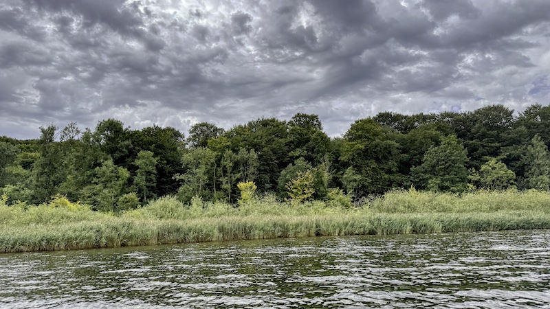 250827 mariager skoven