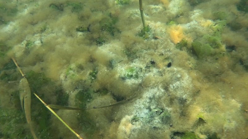 250906 hobro liglagen