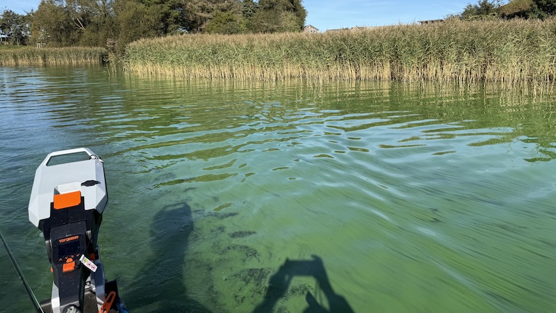 250924 glenstrup alger