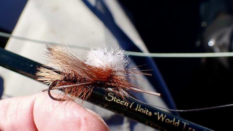 250925 mariager dryfly