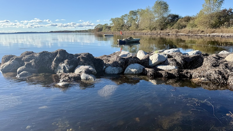 251018 stevns lund stille