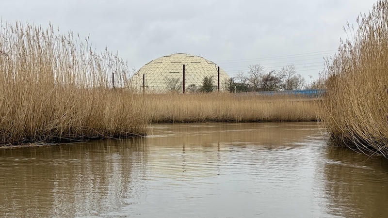 260116 gudenaa randers regnskov