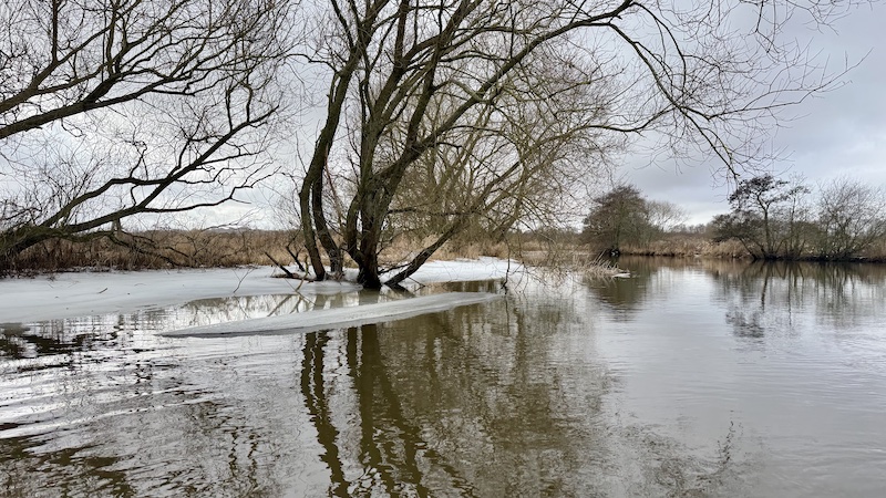 Gudenåen ved Randers 260223 gudenaa stevnstrup is