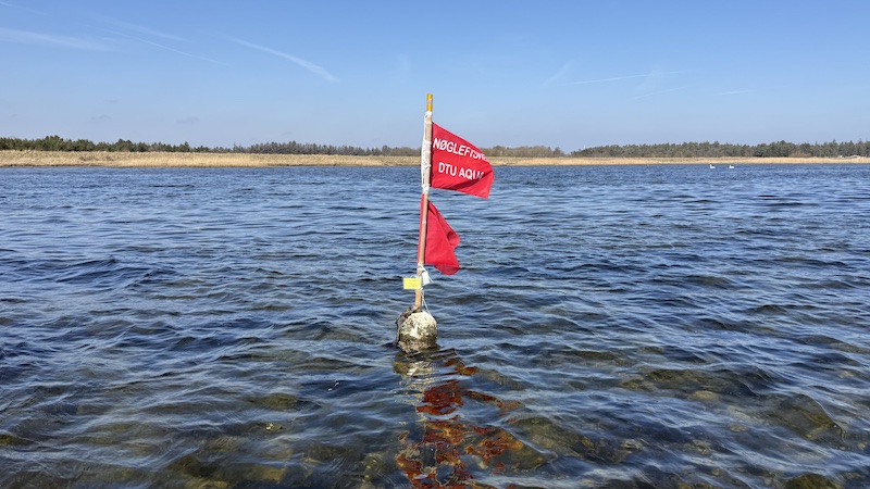 Bøje for Nøglefisker 260422 randers fjord redskab