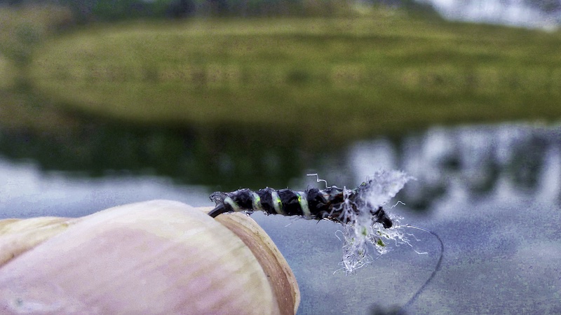 260415 milldam midge