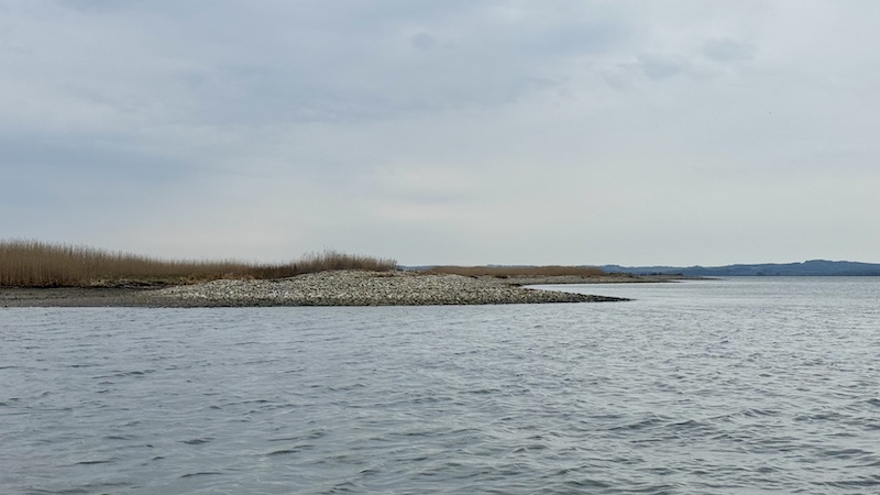 260418 randers fjord stenrevet