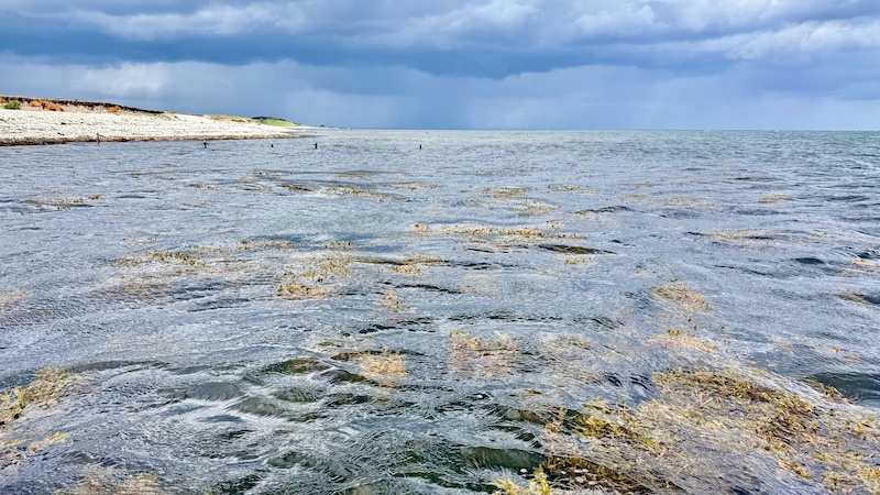 260606 rugaard fornaes vejr