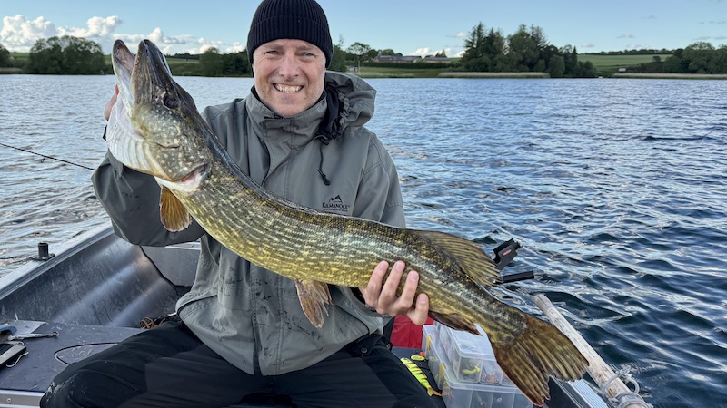 Gedde fra Glenstrup Sø