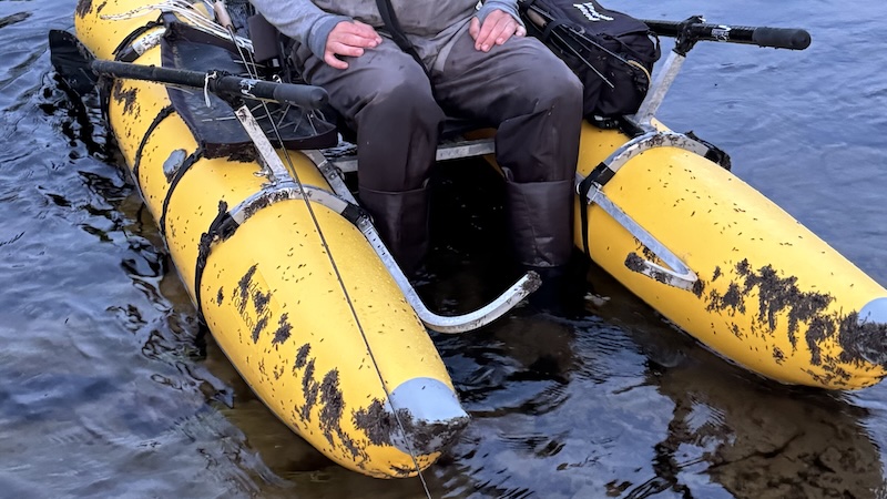 260710 rena boat sedges