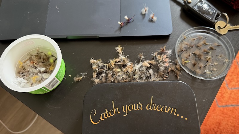 260715 rena sorting flies
